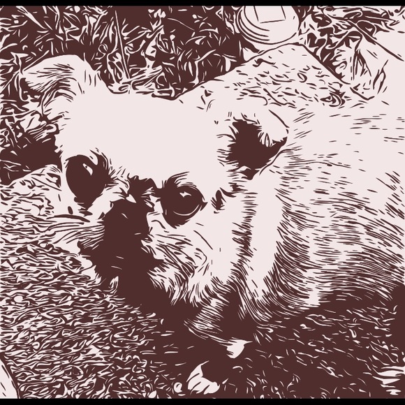 Meet your Posher, Patti - Picture 5 of 11